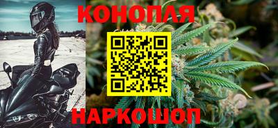 каннабис Камышлов
