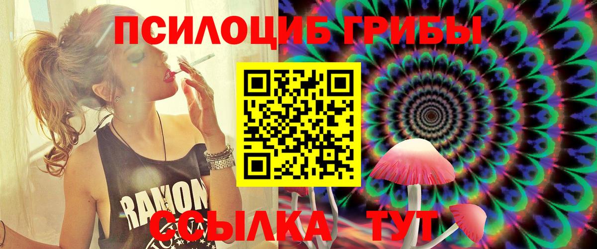 Черкесск  Галлюциногенные грибы Psilocybine cubensis  Вход с VPN 