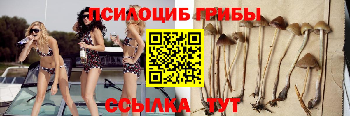 Галлюциногенные грибы мухоморы Черкесск